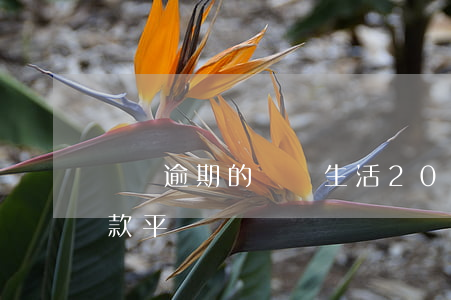 無視逾期的網貸生活(2020無視逾期的貸款平臺)