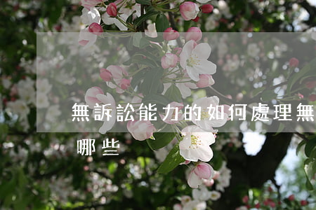 無訴訟能力的如何處理(無訴訟行為能力人有哪些)