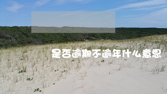 無論是否逾期(不逾年什么意思)
