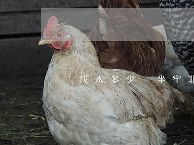 無證伐木多少會坐牢(非法伐木多少方要坐牢)