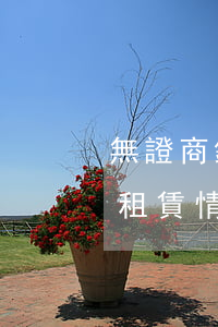 無證商鋪法院可以拍賣嗎(法院拍賣的商鋪有租賃情況怎么辦?)