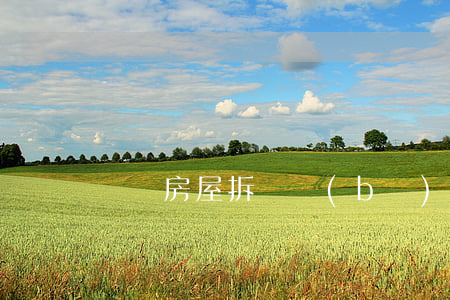無證房屋拆遷補(bǔ)償是什么