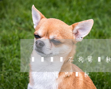 無證駕駛不拘留罰款多少錢(無證駕駛能不能不拘留只罰款)