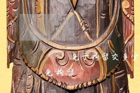 無證駕駛免于拘留交多少錢(無證駕駛可以申請免拘留嗎)