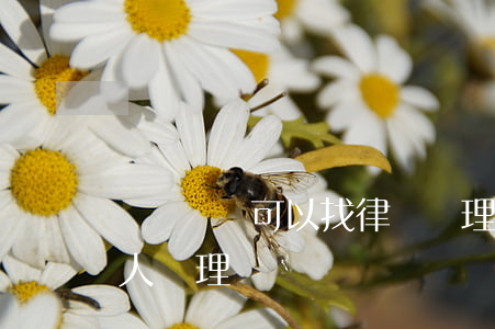 無證駕駛可以找律師處理嗎(無證駕駛可以找人處理嗎)