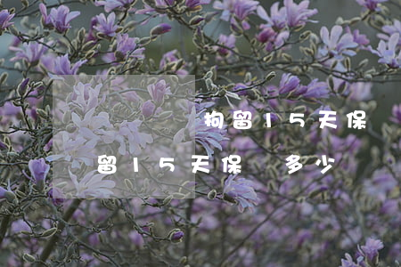 無證駕駛拘留15天保釋多少錢(無證駕駛拘留15天保釋多少錢)