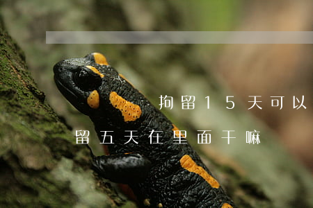 無證駕駛拘留15天可以不去嗎(無證駕駛拘留五天在里面干嘛)