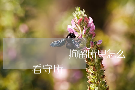 無證駕駛拘留所里怎么樣(無證駕駛拘留是在看守所嗎)