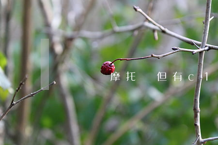 無證駕駛摩托車但有c1
