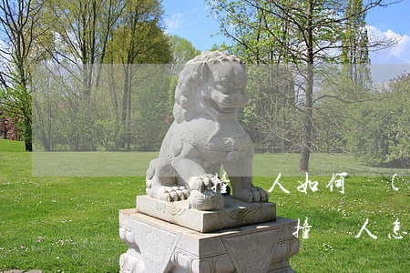 無證駕駛撞傷人如何協(xié)商一次性賠償，無證駕駛撞傷人怎么賠償