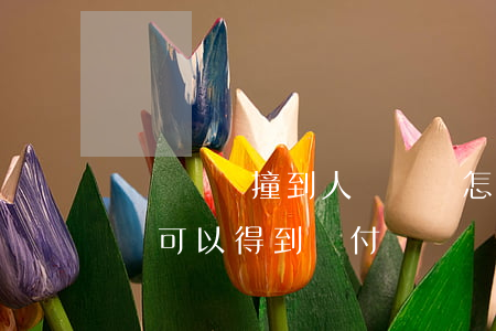 無證駕駛撞到人沒錢賠怎么辦(無證駕駛被撞傷可以得到賠付嗎)