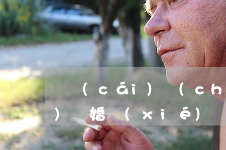 無財(cái)產(chǎn)債務(wù)離婚協(xié)議書(離婚協(xié)議書無債權(quán)無債務(wù))