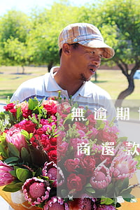 無逾期協(xié)商(無逾期協(xié)商還款)