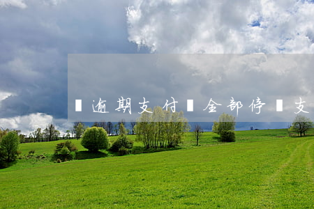 無逾期支付寶全部停貸(支付寶逾期怎么停息)