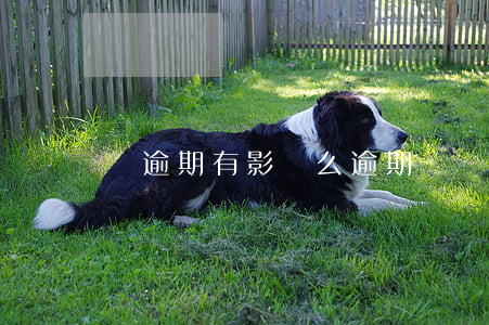 無逾期有影響么(逾期視為沒有)
