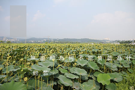 無逾期為何不能貸款(為什么無逾期但是借不到款?)