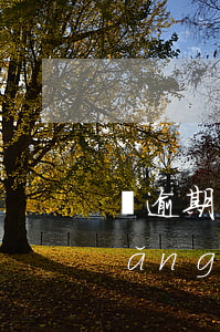 無逾期網(wǎng)商貸額度下降(網(wǎng)商貸大幅度降低額度)
