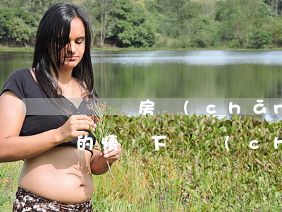 無遺囑房產(chǎn)怎么繼承(沒有遺囑的情況下財產(chǎn)如何繼承)