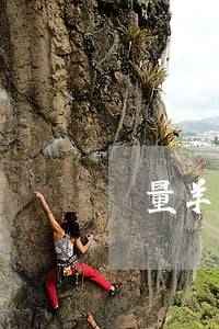無量羊湯加盟(無量羊湯加盟)