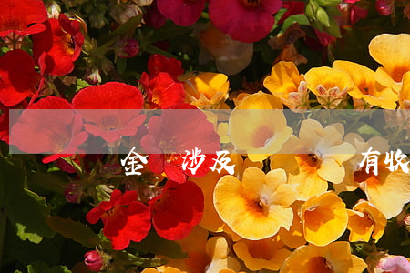 無金錢涉及詐騙嗎(沒有收錢算詐騙嗎)