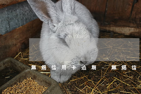 無錫信用卡逾期-無錫信用卡逾期
