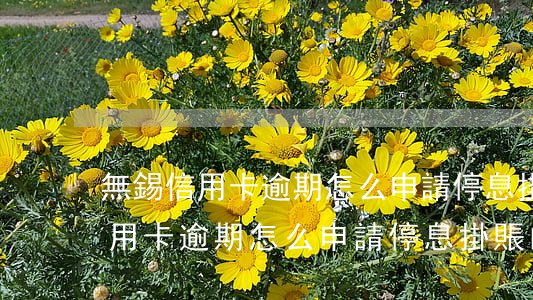 無錫信用卡逾期怎么申請停息掛賬-無錫信用卡逾期怎么申請停息掛賬的