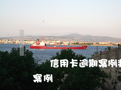 無錫信用卡逾期案例判刑(信用卡逾期被起訴案例)