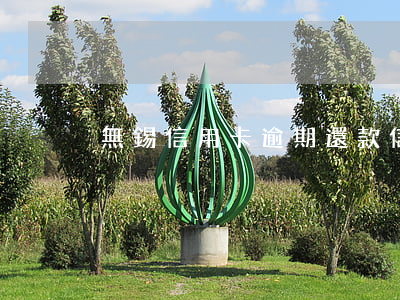 無錫信用卡逾期還款(信用卡逾期)