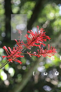 無錫合同律師(無錫錫山區(qū)律師事務(wù)所免費(fèi)咨詢)