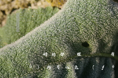 無錫好的律師推薦(無錫有哪些律師事務(wù)所可以免費(fèi)咨詢)