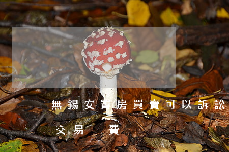 無錫安置房買賣可以訴訟嗎(無錫二手安置房交易稅費)