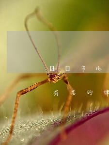 無錫市比較有名的律師事務(wù)所(無錫有名的律師是誰)