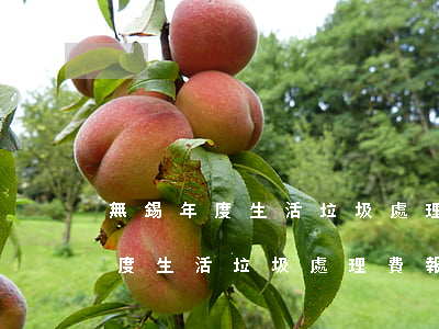 無錫年度生活垃圾處理費報稅逾期-無錫年度生活垃圾處理費報稅逾期了怎么辦