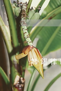 無錫律師事務所排行榜(無錫十大律師排名)