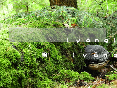 無錫撫養(yǎng)權(quán)律師費用(撫養(yǎng)權(quán)律師費用收取標(biāo)準(zhǔn))