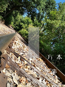 無錫方本律師事務(wù)所律師(無錫法仰律師事務(wù)所)