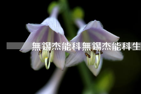 無錫杰能科(無錫杰能科生物制劑有限公司)