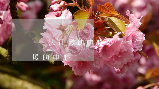 無錫法律援助中心免費條件(無錫司法局法律援助中心)