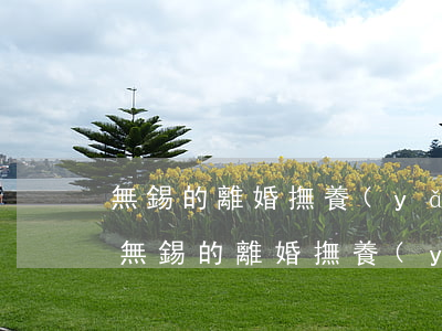 無錫的離婚撫養(yǎng)費(fèi)(無錫的離婚撫養(yǎng)費(fèi))