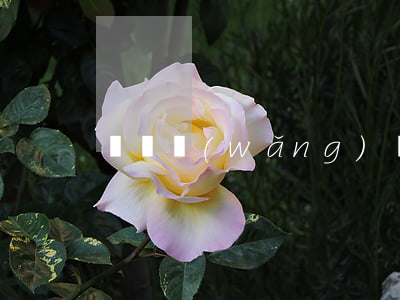無錫網(wǎng)貸逾期修復公司