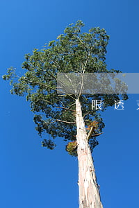 無限透支信用卡是什么(無限透支卡是什么意思)