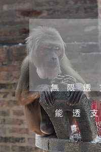 無限透支的信用卡的什么卡(無限透支卡最多能透支多少錢)