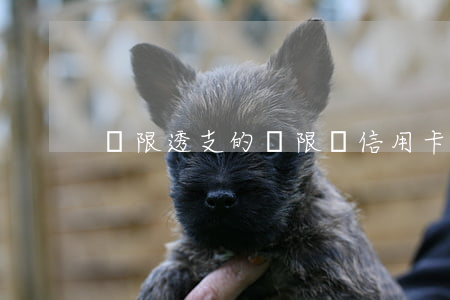 無限透支的無限額信用卡(無限卡信用卡)