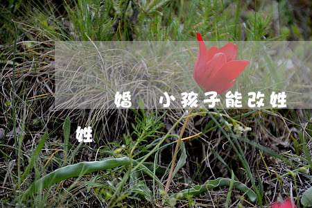 無離婚證小孩子能改姓嗎(不離婚能給孩子改姓嗎)