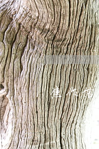 焦作信用卡逾期停息掛賬