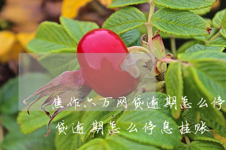 焦作六万网贷逾期怎么停息挂账 焦作六万网贷逾期怎么停息挂账