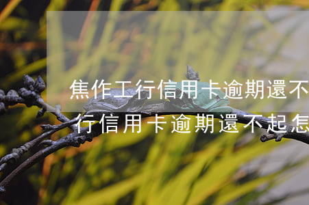 焦作工行信用卡逾期還不起怎么辦-焦作工行信用卡逾期還不起怎么辦呢