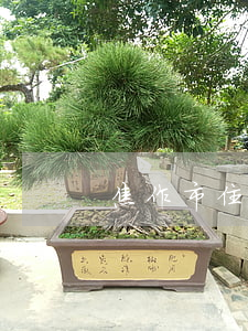 焦作市住房公積金
