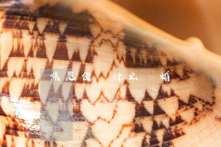 焦恩俊為什么離婚