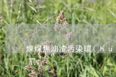 煉煤焦油渣污染環(huán)境罪如何處罰
